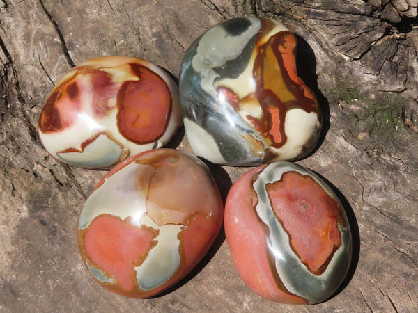 Polished Polychrome / Picasso Jasper Domes  x 4 From Madagascar - TopRock