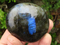 Polished Labradorite Palm Stones  x 12 From Tulear, Madagascar - TopRock