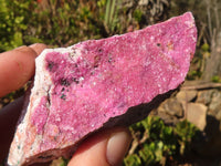 Natural Pink Salrose Cobaltion Dolomite Specimens  x 6 From Kakanda, Congo