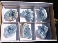 Natural Blue Celestite Crystal Specimens  x 6 From Sakoany, Madagascar - Toprock Gemstones and Minerals 