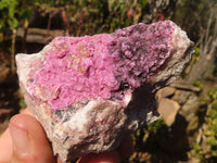 Natural Pink Salrose Cobaltion Dolomite Specimens  x 6 From Kakanda, Congo