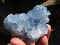 Natural Blue Celestite Crystal Specimens  x 6 From Sakoany, Madagascar - Toprock Gemstones and Minerals 