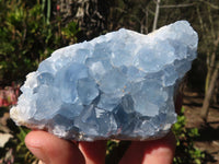 Natural Blue Celestite Crystal Specimens  x 6 From Sakoany, Madagascar - Toprock Gemstones and Minerals 