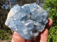 Natural Blue Celestite Crystal Specimens  x 6 From Sakoany, Madagascar - Toprock Gemstones and Minerals 