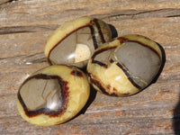 Polished Septerye (Aragonite & Calcite) Palm Stones  x 12 From Madagascar - Toprock Gemstones and Minerals 