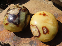 Polished Septerye (Aragonite & Calcite) Palm Stones  x 12 From Madagascar - Toprock Gemstones and Minerals 