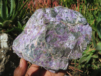 Natural Rare Stichtite & Green Serpentine Specimens x 2 From Barberton, South Africa - TopRock