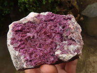 Natural Large Pink Salrose Specimens  x 2 From Kakanda, Congo - Toprock Gemstones and Minerals 