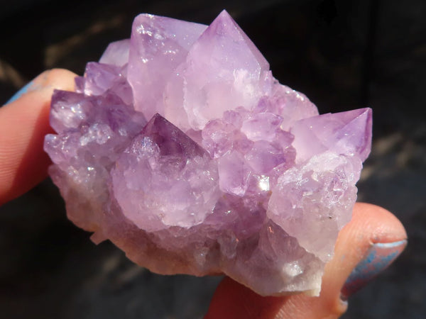 Natural Large Cactus Flower Amethyst Quartz Crystals x 14 From Boekenhouthoek, South Africa