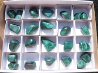 Polished Small Malachite Tumble Stones  x 24 From Congo - Toprock Gemstones and Minerals 