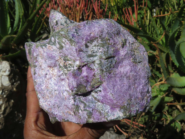 Natural Rare Stichtite & Green Serpentine Specimens x 2 From Barberton, South Africa - TopRock