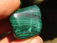 Polished Small Malachite Tumble Stones  x 24 From Congo - Toprock Gemstones and Minerals 