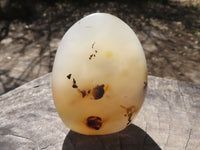 Polished Semi Translucent Dendritic Agate Standing Free Forms  x 4 From Moralambo, Madagascar - TopRock