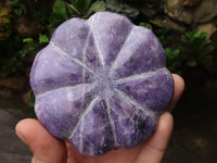 Polished Mixed Stone Pumpkin Carvings  x 6 From Zimbabwe - TopRock