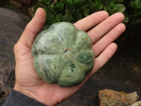 Polished Mixed Stone Pumpkin Carvings  x 6 From Zimbabwe - TopRock