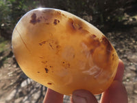 Polished Semi Translucent Dendritic Agate Standing Free Forms  x 4 From Moralambo, Madagascar - TopRock