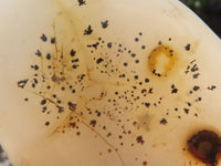 Polished Semi Translucent Dendritic Agate Standing Free Forms  x 4 From Moralambo, Madagascar - TopRock