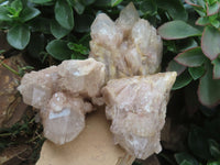 Natural Cascading White Phantom Quartz Clusters  x 3 From Luena, Congo - Toprock Gemstones and Minerals 