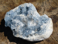 Natural Celestite Specimen Has Damage But Nice x 1 From Sakoany, Madagascar - TopRock