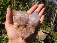 Natural Spirit Amethyst Quartz Clusters  x 3 From Boekenhouthoek, South Africa - Toprock Gemstones and Minerals 