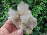 Natural Cascading White Phantom Quartz Clusters  x 3 From Luena, Congo - Toprock Gemstones and Minerals 