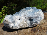 Natural Celestite Specimen Has Damage But Nice x 1 From Sakoany, Madagascar - TopRock