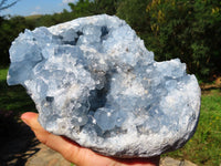 Natural Celestite Specimen Has Damage But Nice x 1 From Sakoany, Madagascar - TopRock