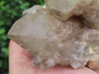 Natural Cascading White Phantom Quartz Clusters  x 3 From Luena, Congo - Toprock Gemstones and Minerals 