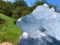 Natural Celestite Specimen Has Damage But Nice x 1 From Sakoany, Madagascar - TopRock