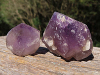 Natural Single Window Amethyst Crystals x 12 From Ambatondrazaka, Madagascar - TopRock