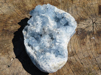 Natural Celestite Specimen Has Damage But Nice x 1 From Sakoany, Madagascar - TopRock