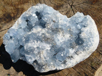 Natural Celestite Specimen Has Damage But Nice x 1 From Sakoany, Madagascar - TopRock