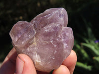 Natural Single Window Amethyst Crystals x 12 From Ambatondrazaka, Madagascar - TopRock