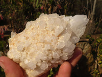 Natural "Cathedral Window" Candle Quartz Formations  x 6 From Madagascar