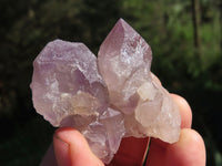 Natural Single Window Amethyst Crystals x 12 From Ambatondrazaka, Madagascar - TopRock