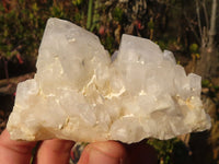 Natural "Cathedral Window" Candle Quartz Formations  x 6 From Madagascar