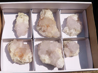 Natural White Spirit Cactus Quartz Clusters  x 6 From Boekenhouthoek, South Africa - Toprock Gemstones and Minerals 