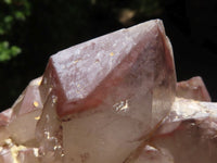 Natural Red Hematoid Phantom Quartz Clusters  x 3 From Karoi, Zimbabwe - TopRock