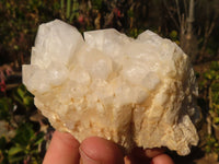 Natural "Cathedral Window" Candle Quartz Formations  x 6 From Madagascar