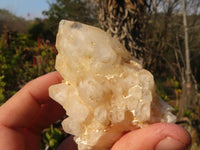 Natural "Cathedral Window" Candle Quartz Formations  x 6 From Madagascar