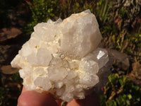 Natural "Cathedral Window" Candle Quartz Formations  x 6 From Madagascar