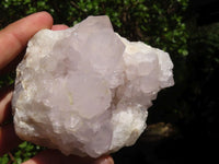 Natural White Spirit Cactus Quartz Clusters  x 6 From Boekenhouthoek, South Africa - Toprock Gemstones and Minerals 