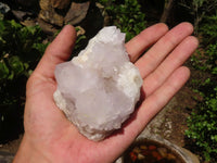 Natural White Spirit Cactus Quartz Clusters  x 6 From Boekenhouthoek, South Africa - Toprock Gemstones and Minerals 