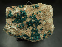 Natural Giant Dioptase Specimen With Bright Emerald Green Crystals & Large Dolomite Crystals x 1 From Congo - TopRock