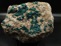 Natural Giant Dioptase Specimen With Bright Emerald Green Crystals & Large Dolomite Crystals x 1 From Congo - TopRock