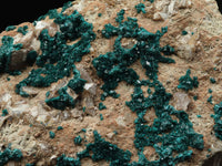 Natural Giant Dioptase Specimen With Bright Emerald Green Crystals & Large Dolomite Crystals x 1 From Congo - TopRock