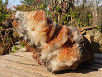 Natural Rare Bladed Barite Specimen  x 1 From Congo