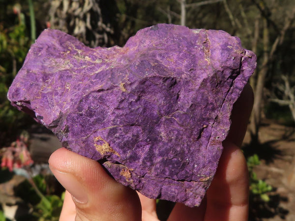 Natural Metallic Purpurite Cobbed Specimens  x 6 From Erongo, Namibia - Toprock Gemstones and Minerals 