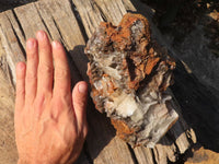 Natural Rare Bladed Barite Specimen  x 1 From Congo