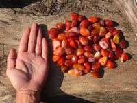 Polished  Individually Made Carnelian Agate Tumble Stones  x 1 Kg Lot From Madagascar